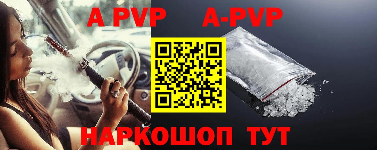 Alfa_PVP СК Волгоград