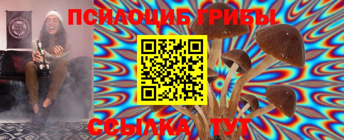 Галлюциногенные грибы MAGIC MUSHROOMS Волгоград