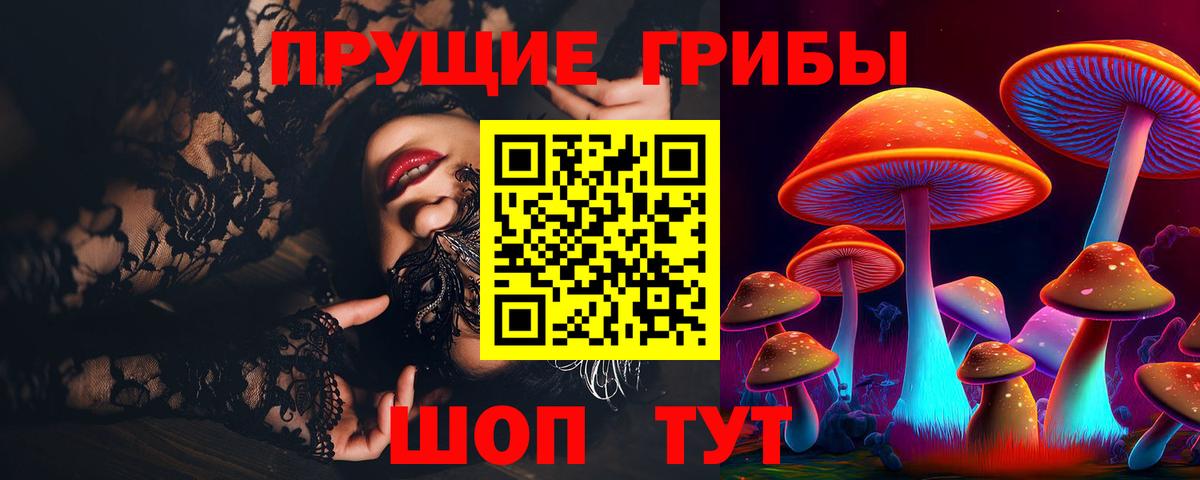 Волгоград  Галлюциногенные грибы Psilocybine cubensis  Вход с VPN 